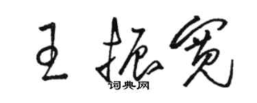 骆恒光王振宽草书个性签名怎么写