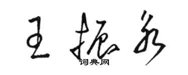 骆恒光王振永草书个性签名怎么写