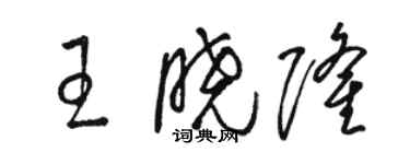 骆恒光王晓隆草书个性签名怎么写