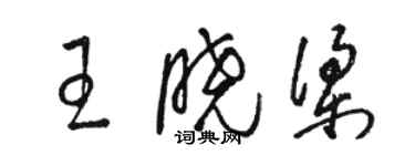 骆恒光王晓梁草书个性签名怎么写
