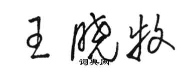 骆恒光王晓牧草书个性签名怎么写
