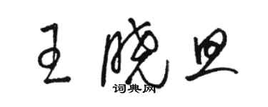 骆恒光王晓旦草书个性签名怎么写
