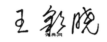 骆恒光王彩晓草书个性签名怎么写