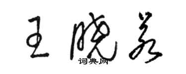 骆恒光王晓若草书个性签名怎么写