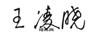 骆恒光王凌晓草书个性签名怎么写