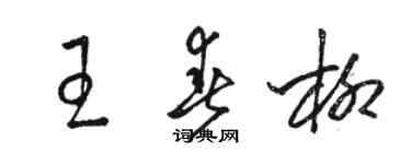 骆恒光王春柳草书个性签名怎么写