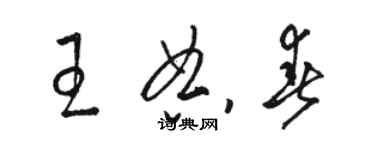 骆恒光王典春草书个性签名怎么写