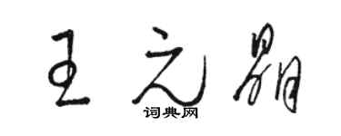 骆恒光王元晶草书个性签名怎么写