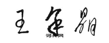骆恒光王余晶草书个性签名怎么写