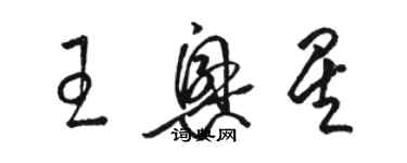 骆恒光王兴星草书个性签名怎么写