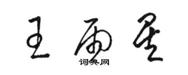 骆恒光王雨星草书个性签名怎么写