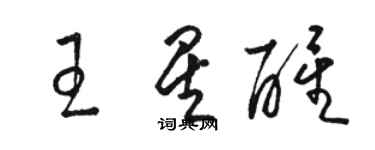 骆恒光王星醒草书个性签名怎么写