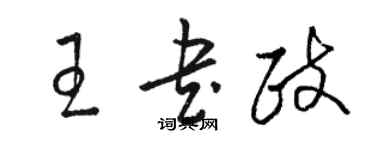 骆恒光王书政草书个性签名怎么写