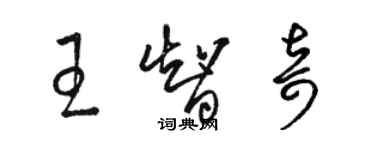 骆恒光王智奇草书个性签名怎么写