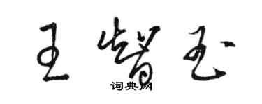 骆恒光王智玉草书个性签名怎么写