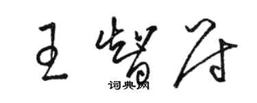 骆恒光王智尉草书个性签名怎么写