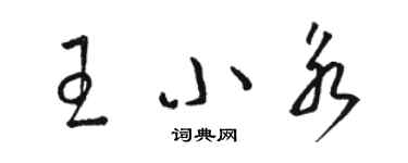 骆恒光王小永草书个性签名怎么写