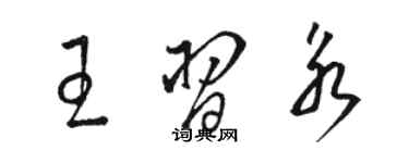 骆恒光王习永草书个性签名怎么写