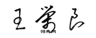 骆恒光王荣良草书个性签名怎么写