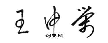 骆恒光王申荣草书个性签名怎么写