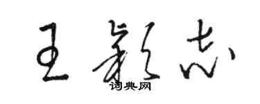 骆恒光王颖志草书个性签名怎么写