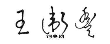 骆恒光王卫丰草书个性签名怎么写