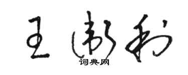 骆恒光王卫利草书个性签名怎么写