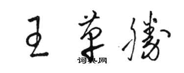 骆恒光王革胜草书个性签名怎么写