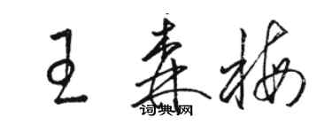 骆恒光王森梅草书个性签名怎么写