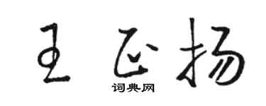 骆恒光王正扬草书个性签名怎么写