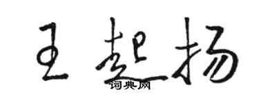 骆恒光王起扬草书个性签名怎么写