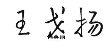 骆恒光王戈扬草书个性签名怎么写