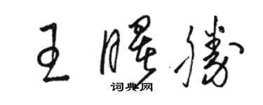 骆恒光王曙胜草书个性签名怎么写