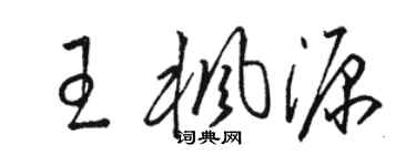 骆恒光王枫源草书个性签名怎么写