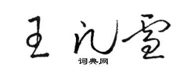 骆恒光王凡雪草书个性签名怎么写