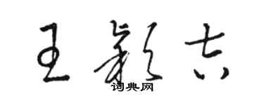骆恒光王颖吉草书个性签名怎么写