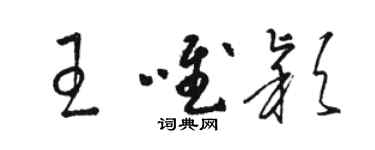 骆恒光王唯颖草书个性签名怎么写