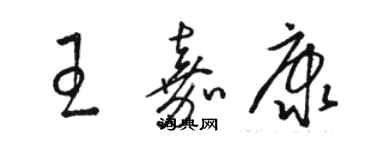 骆恒光王嘉康草书个性签名怎么写