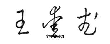 骆恒光王爱武草书个性签名怎么写