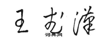 骆恒光王武汉草书个性签名怎么写