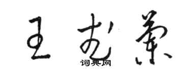 骆恒光王武兰草书个性签名怎么写
