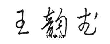 骆恒光王韵武草书个性签名怎么写
