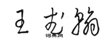 骆恒光王武翰草书个性签名怎么写