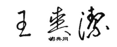 骆恒光王爽洁草书个性签名怎么写