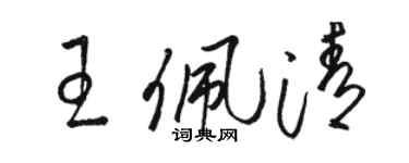 骆恒光王佩清草书个性签名怎么写