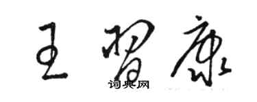 骆恒光王习康草书个性签名怎么写