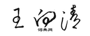 骆恒光王向清草书个性签名怎么写