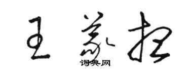 骆恒光王义想草书个性签名怎么写