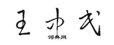 骆恒光王中民草书个性签名怎么写
