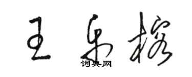 骆恒光王乐榕草书个性签名怎么写